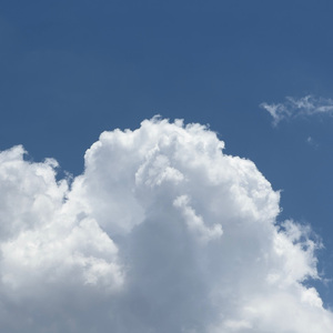 小娻孑在卧室里被躁
